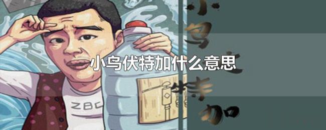 小鸟伏特加什么意思