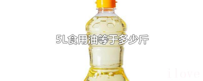 5L食用油等于多少斤