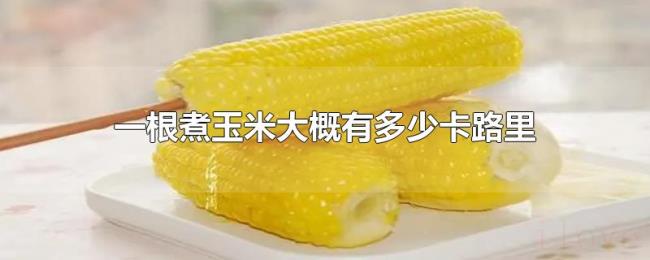 一根煮玉米大概有多少卡路里