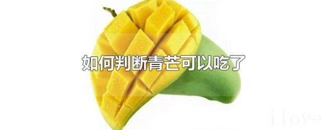 如何判断青芒可以吃了