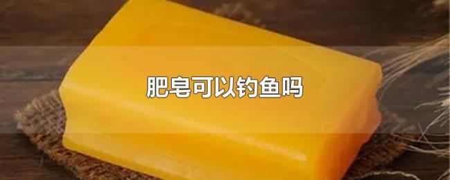 肥皂可以钓鱼吗 肥皂可以钓鱼吗