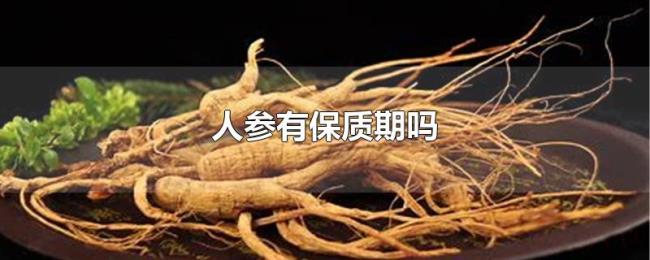 人参有保质期吗