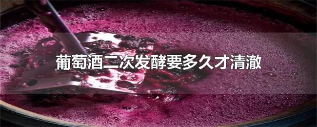 葡萄酒二次发酵要多久才清澈 葡萄酒二次发酵要多久才清澈
