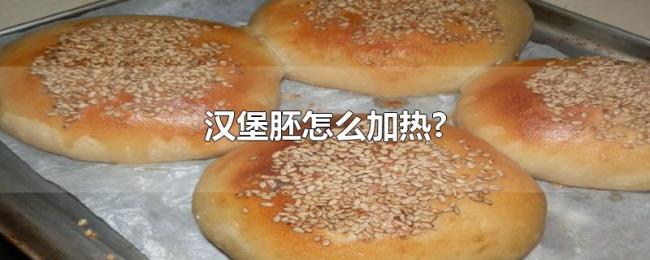 汉堡胚怎么加热? 汉堡胚怎么加热?
