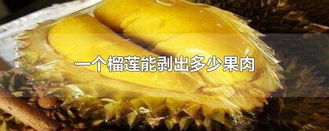 一个榴莲能剥出多少果肉