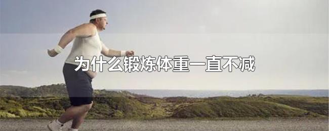 为什么锻炼体重一直不减