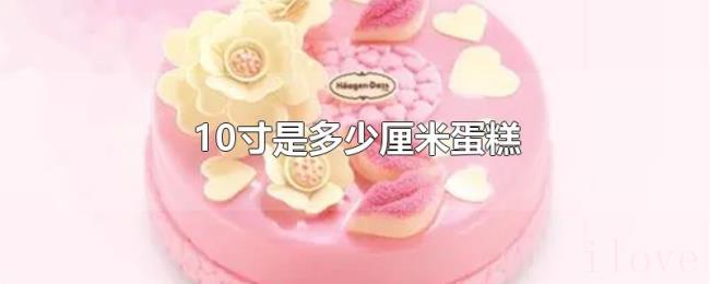 10寸是多少厘米蛋糕 10寸是多少厘米蛋糕