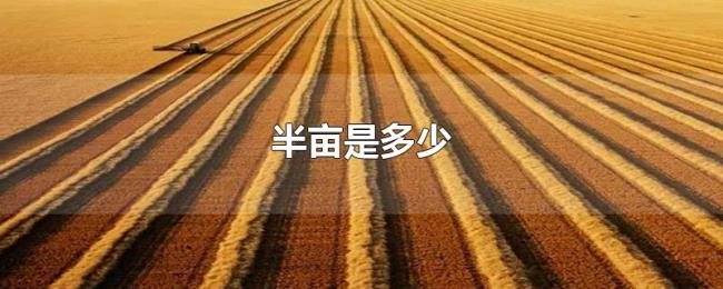 半亩是多少 半亩是多少