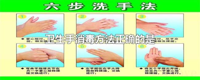 卫生手消毒方法正确的是 卫生手消毒方法正确的是