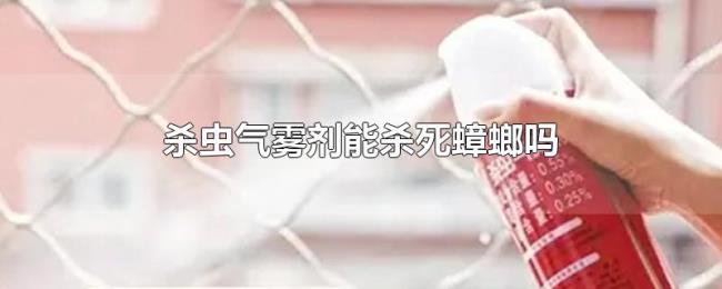 杀虫气雾剂能杀死蟑螂吗