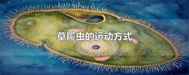 草履虫的运动方式