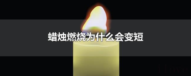 蜡烛燃烧为什么会变短 蜡烛燃烧为什么会变短