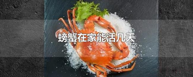 螃蟹在家能活几天
