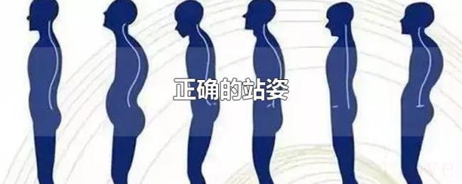 正确的站姿 正确的站姿