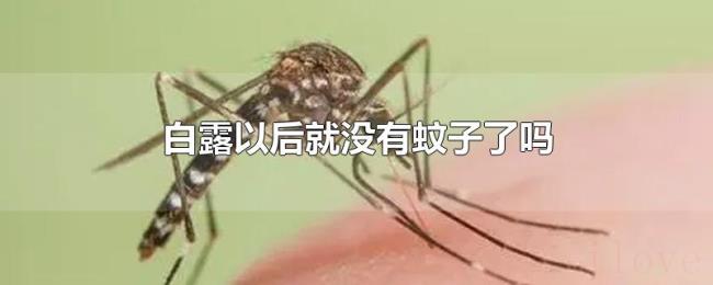 白露以后就没有蚊子了吗