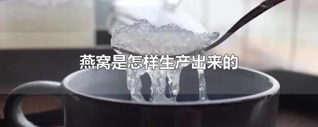 燕窝是怎样生产出来的 燕窝是怎样生产出来的