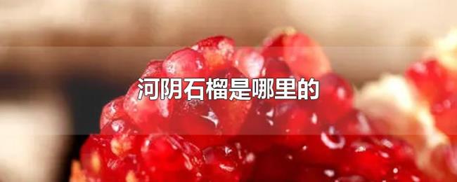 河阴石榴是哪里的 河阴石榴是哪里的