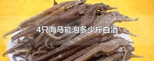 4只海马能泡多少斤白酒 4只海马能泡多少斤白酒