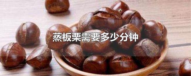 蒸板栗需要多少分钟