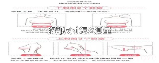胸部尺寸怎么测量