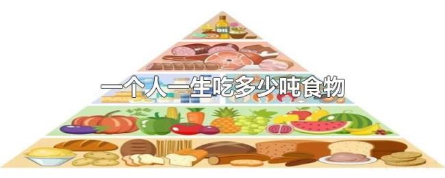 一个人一生吃多少吨食物