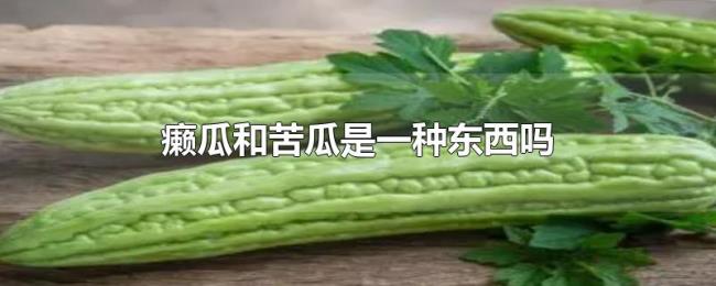 癞瓜和苦瓜是一种东西吗