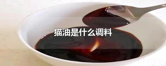 猫油是什么调料 猫油是什么调料