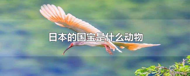 日本的国宝是什么动物 日本的国宝是什么动物