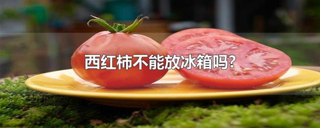 西红柿不能放冰箱吗? 西红柿不能放冰箱吗?