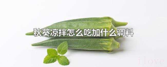 秋葵凉拌怎么吃加什么调料 秋葵凉拌怎么吃加什么调料