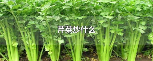 芹菜炒什么