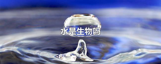 水是生物吗 水是生物吗