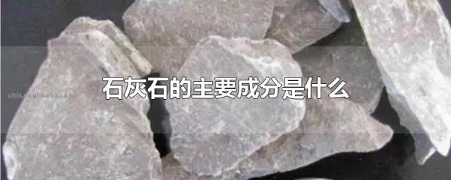 石灰石的主要成分是什么