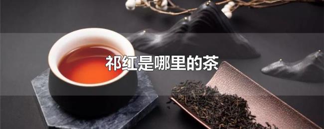 祁红是哪里的茶 祁红是哪里的茶