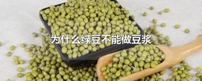 为什么绿豆不能做豆浆