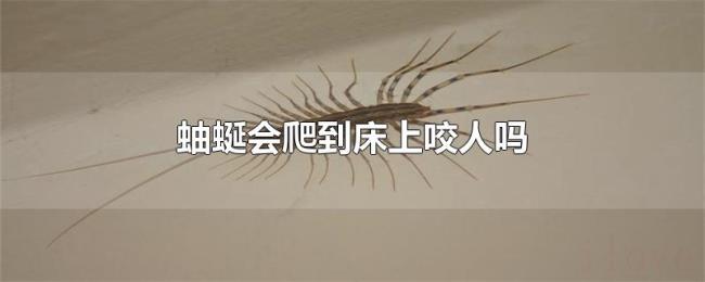 蚰蜒会爬到床上咬人吗