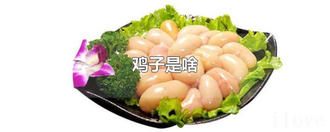 鸡子是啥 鸡子是啥