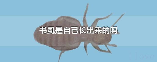 书虱是自己长出来的吗 书虱是自己长出来的吗