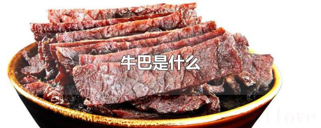 牛巴是什么 牛巴是什么