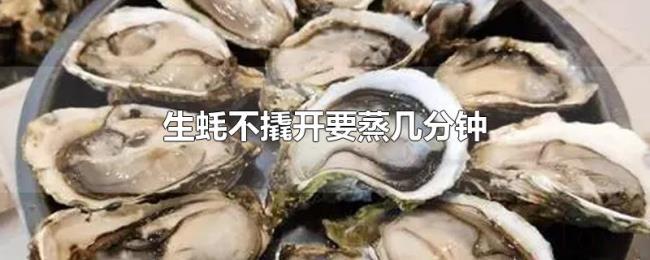生蚝不撬开要蒸几分钟
