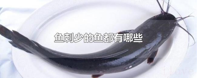 鱼刺少的鱼都有哪些
