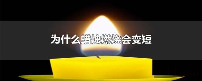 为什么蜡烛燃烧会变短 为什么蜡烛燃烧会变短