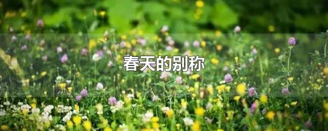 春天的别称 春天的别称