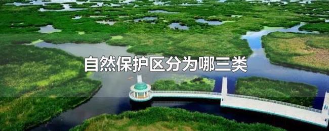 自然保护区分为哪三类
