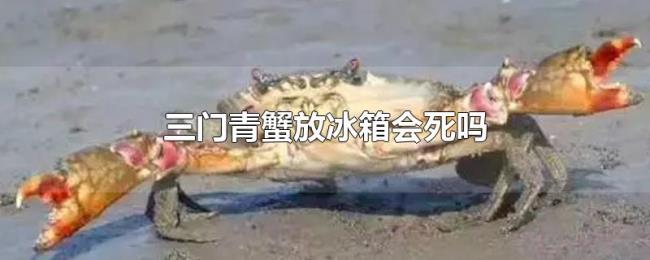 三门青蟹放冰箱会死吗 三门青蟹放冰箱会死吗