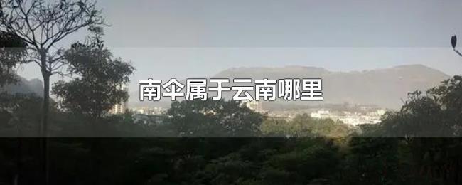 南伞属于云南哪里 南伞属于云南哪里