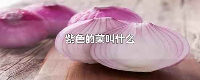 紫色的菜叫什么 紫色的菜叫什么