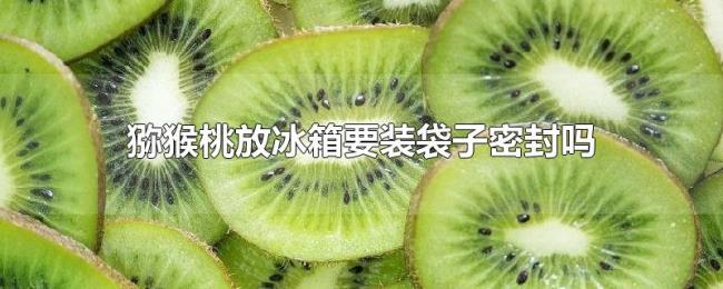 猕猴桃放冰箱要装袋子密封吗 猕猴桃放冰箱要装袋子密封吗