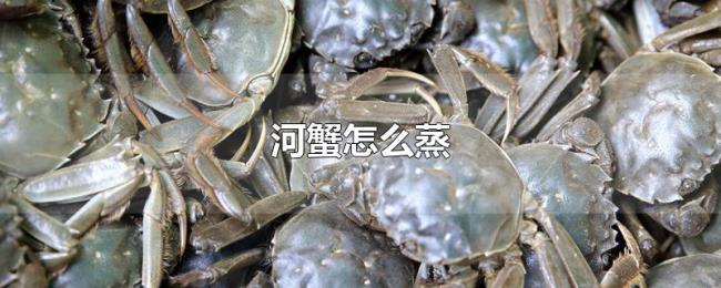 河蟹怎么蒸