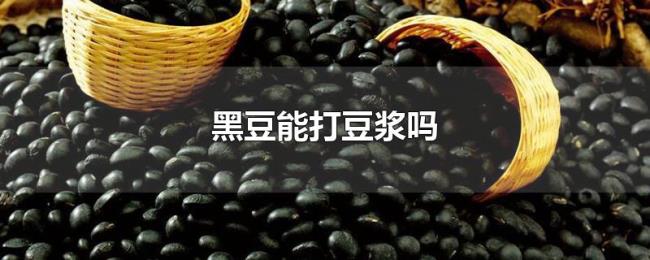 黑豆能打豆浆吗